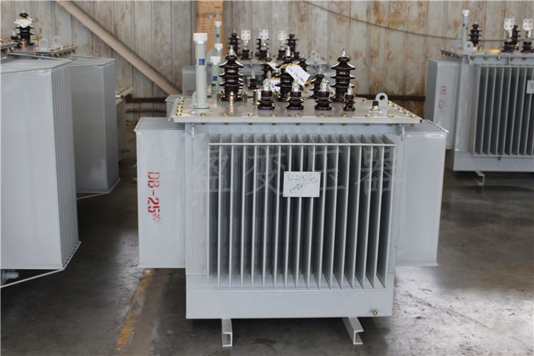 武威S20-800kVA/10kV/0.4kV变压器